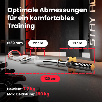 Klappbare Hantelbank mit Gewichten, Curlpult, Butterfly und Beincurler.