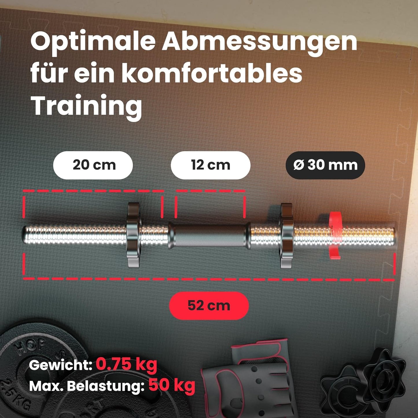 Klappbare Hantelbank mit Gewichten, Curlpult, Butterfly und Beincurler.